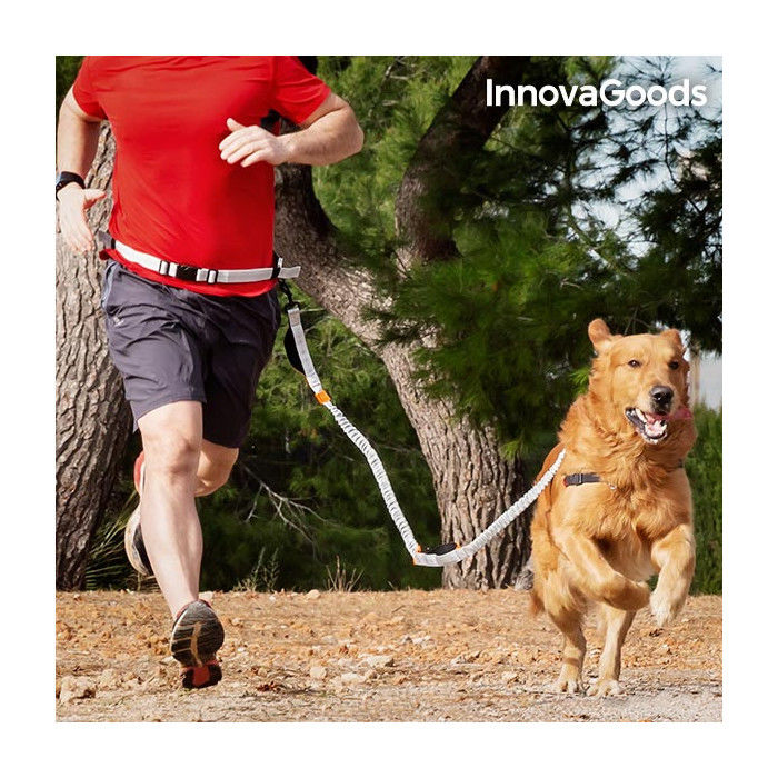 Laisse pour Chiens Mains Libres InnovaGoods