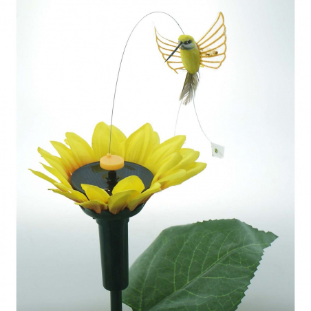 Fleur de tournesol avec un oiseau solaire virvoltant