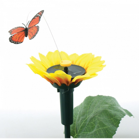 Fleur de tournesol avec un papillon solaire tournant