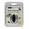 Cafard solaire