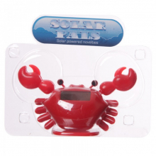 Crabe solaire
