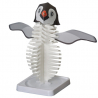 Pingouin de cristal, le pingouin magique qui grandit