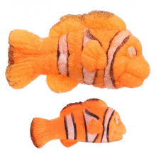 Oeuf à faire éclore vie marine