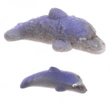 Oeuf à faire éclore vie marine