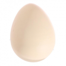 Oeuf à faire éclore vie marine