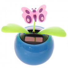 Rasta solaire qui danse