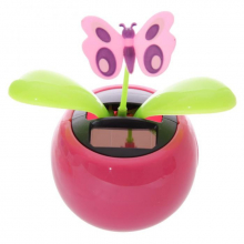 Rasta solaire qui danse