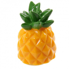 Baume à lèvres fun Ananas et Flamant rose