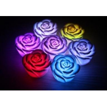 Rose lumineuse à couleurs changeantes
